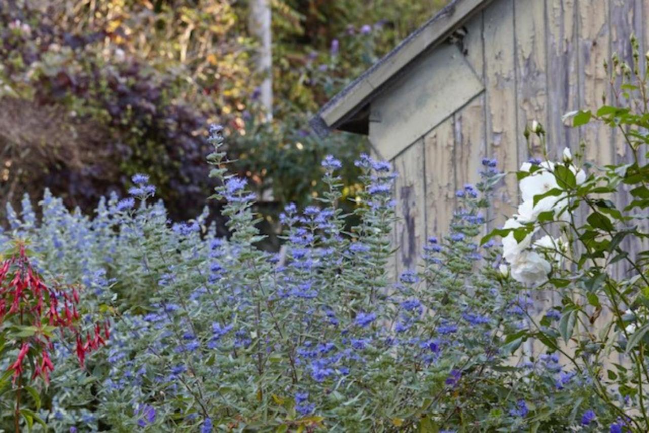 Lavender Cottage Beer Exterior photo